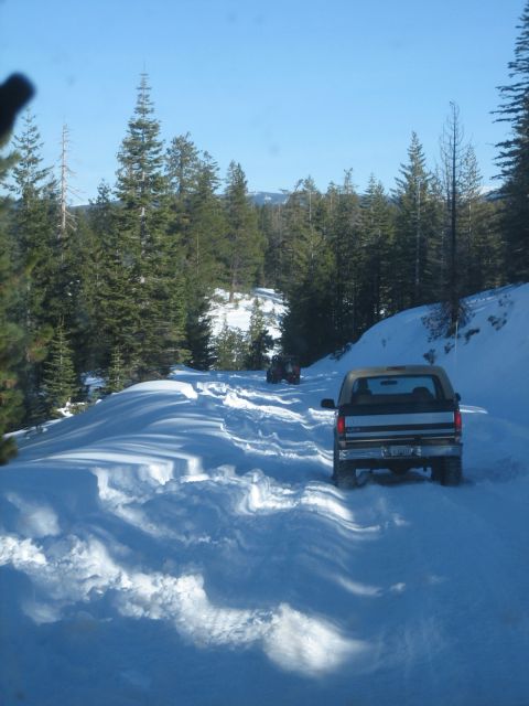 1995 Ford Bronco - Two SUVs navigate a snowy path surrounded by pine trees under a clear blue sky.