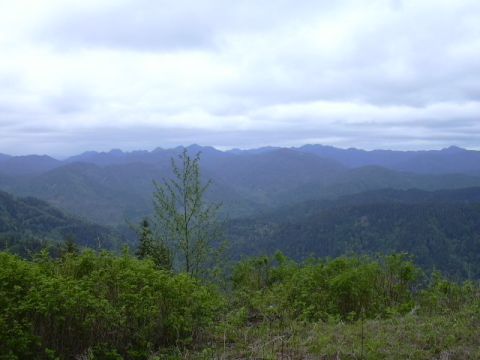 1991 Ford Bronco - A vast mountain landscape unfolds under a gray, overcast sky, with lush green foliage in the foreground.