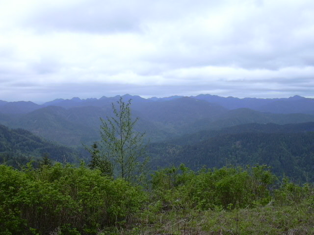 Mountain range under a cloudy sky with trees in the foreground