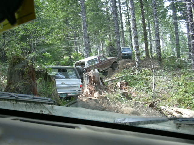View through a windshield of trucks parked among stumps in a logged forest clearing