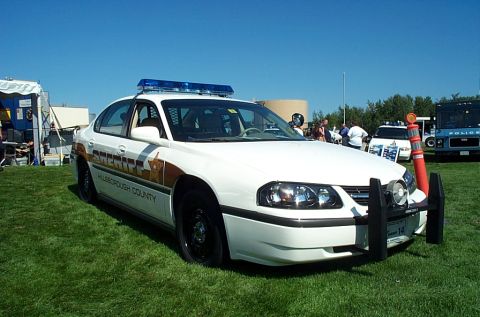 1991 Ford LTD Crown Victoria - Photograph of a Hillsborough County Sheriff Chevrolet Impala patrol car parked on grass.