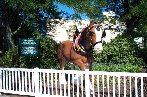1991 Ford LTD Crown Victoria - Photograph of a life-size Clydesdale horse statue in harness inside a fenced garden.