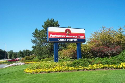 1991 Ford LTD Crown Victoria - Photograph of a Budweiser Brewery Tour roadside sign amid landscaped gardens.