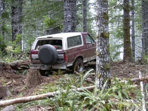 1991 Ford Bronco - Ford Bronco navigating a wooded trail, showing its rear profile and spare tire.