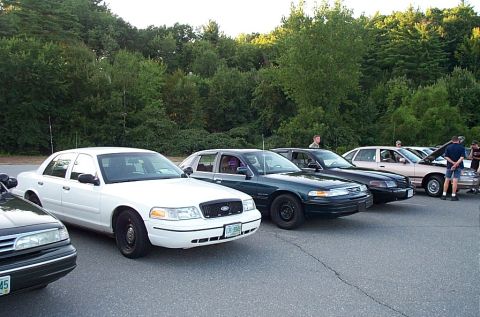 1991 Ford LTD Crown Victoria - A lineup of Ford Crown Victoria sedans are parked on asphalt with a wooded area in the background.