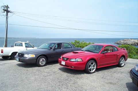 1991 Ford LTD Crown Victoria - Two cars and a truck are parked near the water with a clear sky overhead.