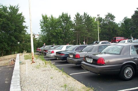 1991 Ford LTD Crown Victoria - Several Ford Crown Victorias are parked in a lot, with trees and a utility pole in the background.