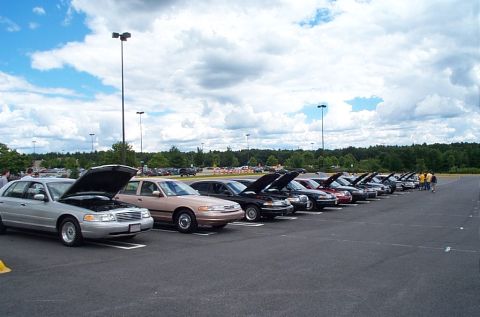 1991 Ford LTD Crown Victoria - Several Ford Crown Victorias are lined up in a parking lot, most with their hoods open.