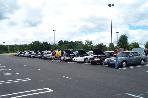 1991 Ford LTD Crown Victoria - Several Ford Crown Victoria LTD sedans are lined up with their hoods open at an outdoor gathering.