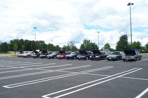 1991 Ford LTD Crown Victoria - A line of Ford Crown Victorias with their hoods open is parked in a parking lot on a cloudy day.