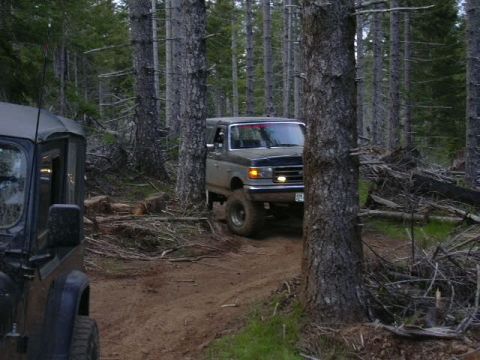 1991 Ford Bronco - Tim makes it look like there was 10 feet in between these trees