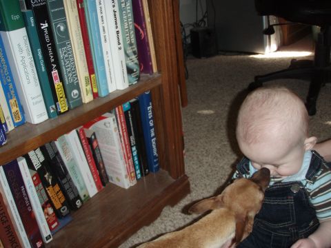 1997 Ford F-250 - A baby and a small dog are near a bookshelf. The dog is sniffing the baby's face.