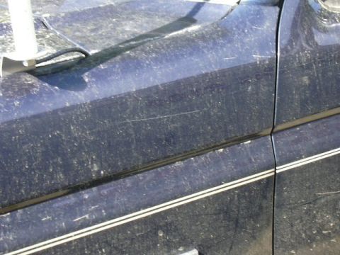 1991 Ford Bronco - Close-up view of the side panel of a dark blue vehicle, showing a white pinstripe detail.