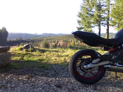 2008 Kawasaki Ninja R - A motorcycle's rear wheel and seat are visible in the foreground, with a scenic landscape of trees and hills in the background.
