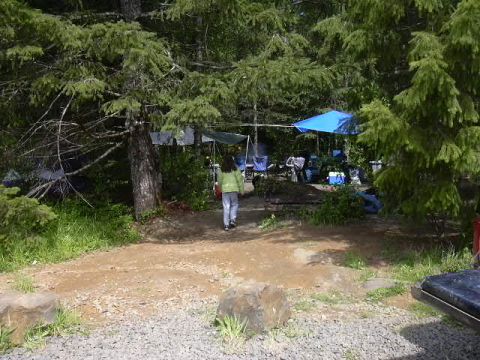 1991 Ford Bronco - Our camp