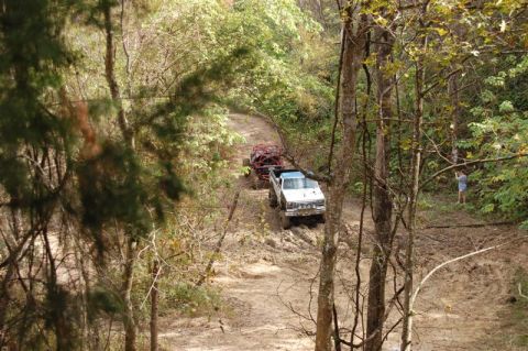 1982 Ford F-100 - Two trucks drive on a muddy, wooded trail.