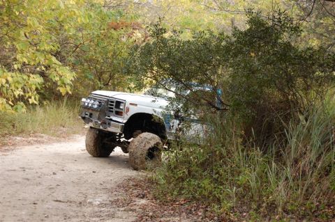 1982 Ford F-100 - A modified white Ford truck navigates a wooded trail with large off-road tires.