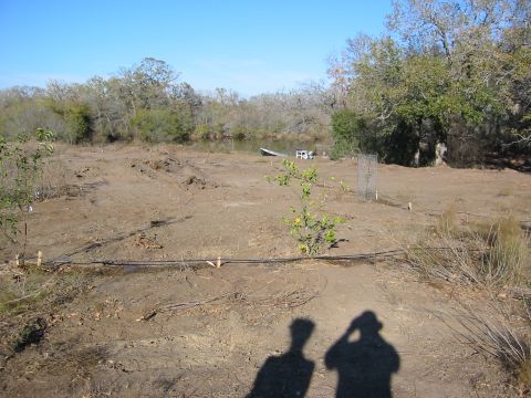 1996 Ford Bronco - A white SUV is visible in the distance, parked near a pond on a sunny day.