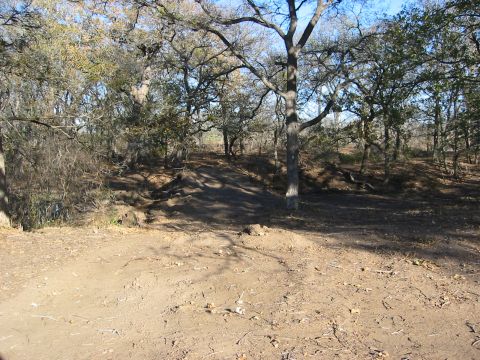 1996 Ford Bronco - A dirt path leads through a wooded area, with a watermark indicating the source as Supermotors.net.