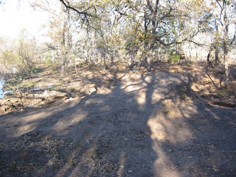 1996 Ford Bronco - Wooded area with a dirt path and shadows from trees.