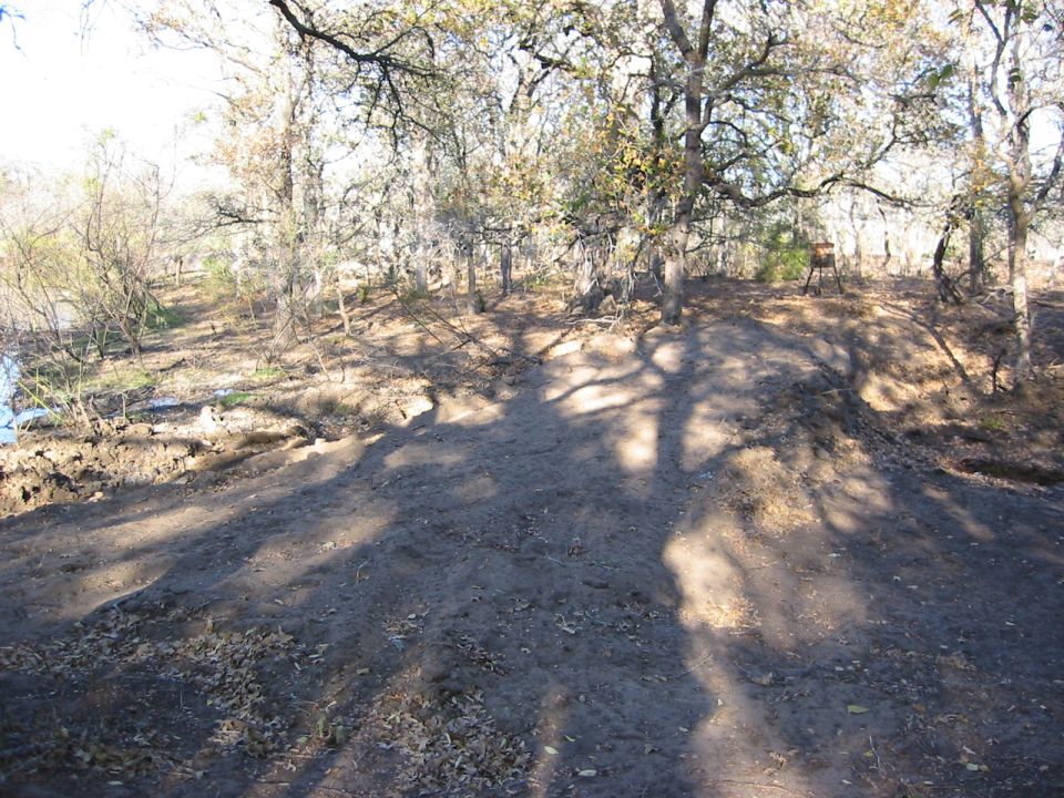 Dirt path winding through a wooded area with dappled sunlight