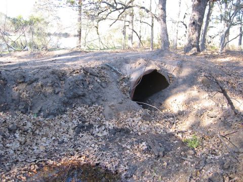 1996 Ford Bronco - A large culvert pipe is visible in a dirt embankment, surrounded by trees and leaf litter.