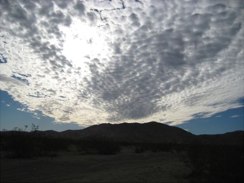 1996 Ford Bronco - A vast desert landscape unfolds beneath a dramatic sky, with silhouetted mountains in the distance.