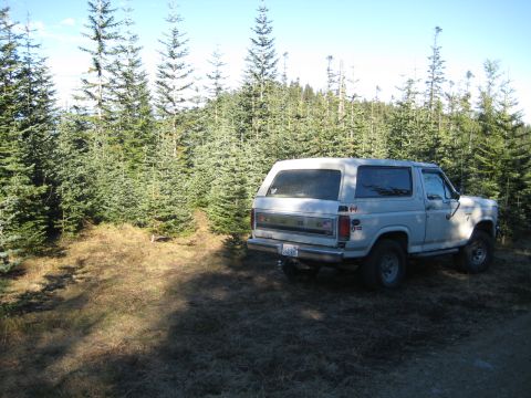 1980 Ford Bronco - White 1980 Ford Bronco parked in a forest clearing.