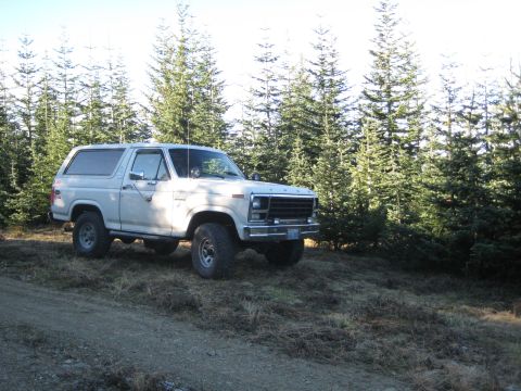 1980 Ford Bronco - A white Ford Bronco is parked on a grassy incline next to a dense forest.