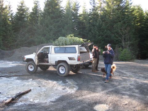 1980 Ford Bronco - A group of people and a dog stand near two trucks, one of which is loaded with a Christmas tree, in a wooded area.