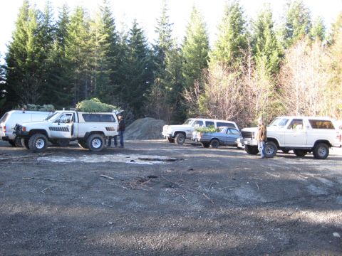 1980 Ford Bronco - Multiple vehicles loaded with Christmas trees are parked in a lot near a forest.