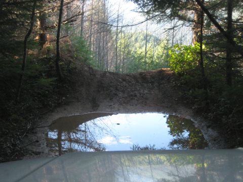 1980 Ford Bronco - A vehicle's hood reflects the sky and trees as it approaches a muddy water obstacle in a forest.