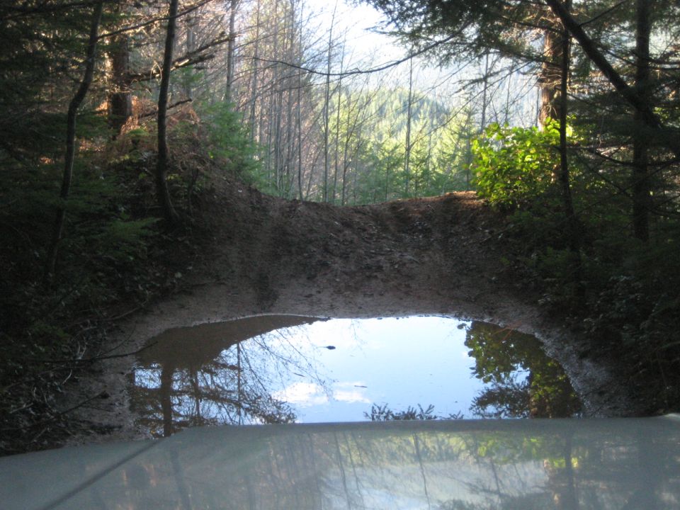 view from car hood looking at muddy water crossing in forest