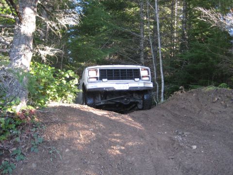 1980 Ford Bronco - This SUV is navigating a steep dirt incline surrounded by trees.