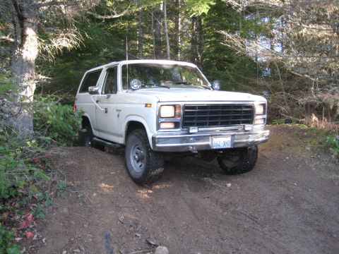 1980 Ford Bronco - This white 1980 Ford Bronco navigates a wooded trail during a 'Tree Run '08' event.