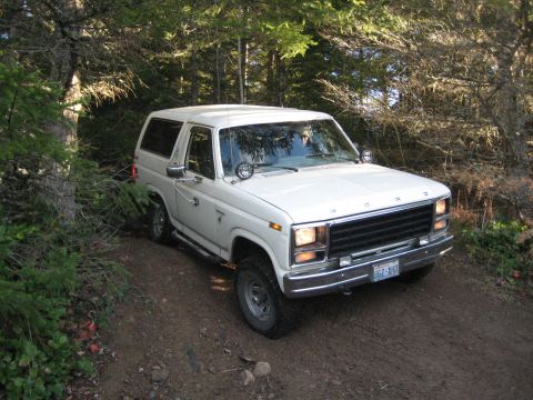 1980 Ford Bronco photo