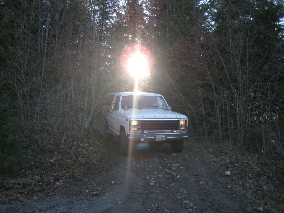White 1980 Ford Bronco on a dirt road surrounded by trees, sun glare