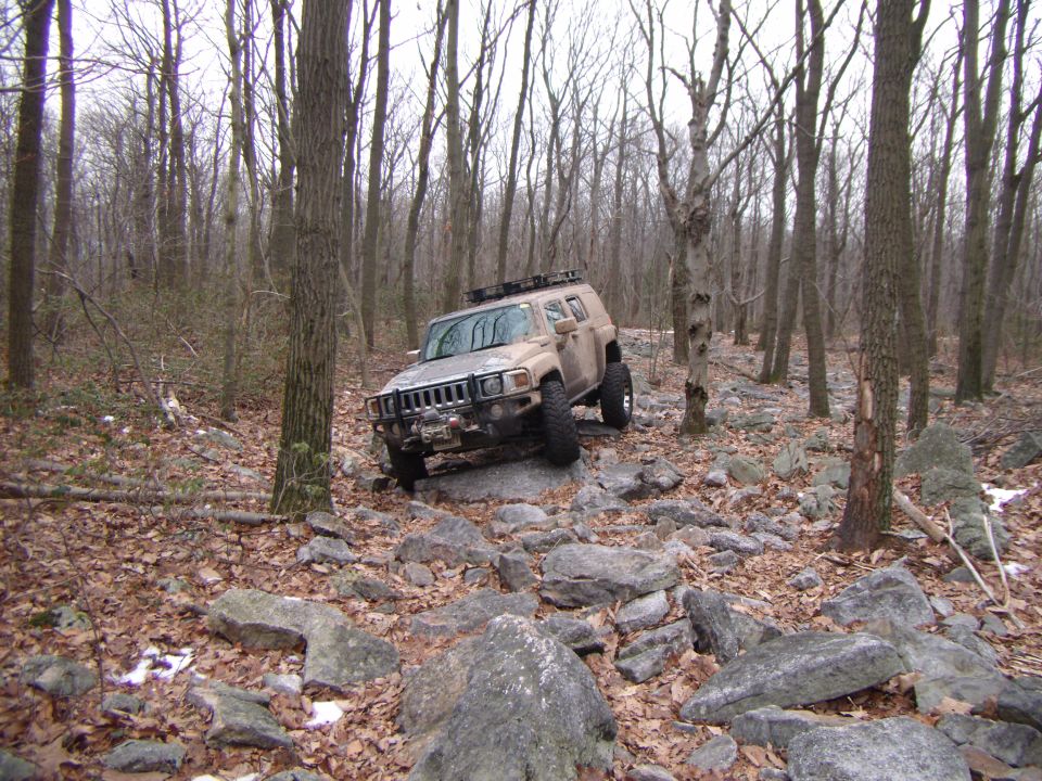 Hummer H3 navigating a rocky trail in a forest