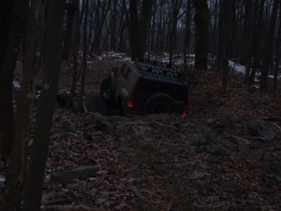 Tan off-road vehicle with a black roof rack on a wooded trail