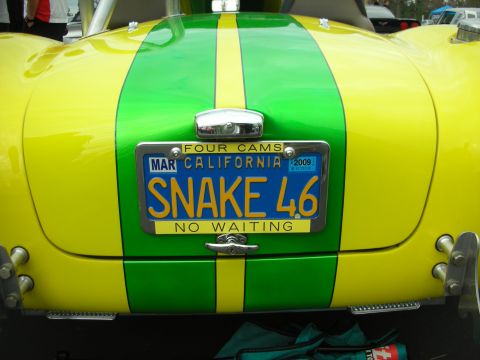1998 Ford Crown Victoria - Custom car rear view with 'SNAKE 46' license plate and yellow and green stripes.