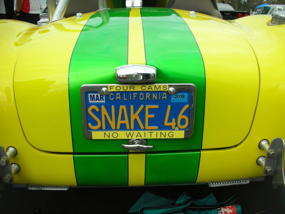 Yellow and green striped custom car rear with California license plate 'SNAKE 46'