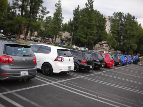 1998 Ford Crown Victoria - A row of Volkswagen Golf GTI cars are parked in a lot, showing their rear ends. The cars are in various colors including gray, white, black…