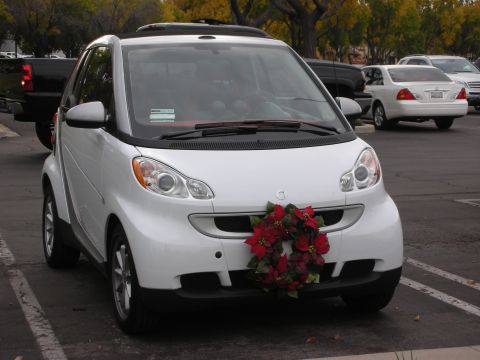 1998 Ford Crown Victoria - Photograph of a white Smart Fortwo decorated with a holiday wreath in a parking lot.