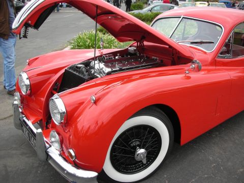 1998 Ford Crown Victoria - Front view of a red classic car with its hood open, revealing the engine compartment.