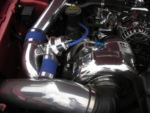 1998 Ford Crown Victoria - Engine bay features a polished supercharger and custom intake piping.