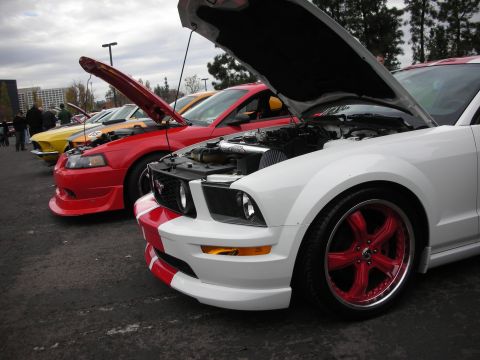 1998 Ford Crown Victoria - Multiple Ford Mustangs lined up with hoods open, displaying their engines.