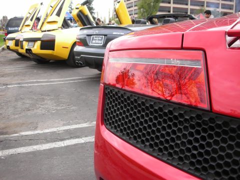1998 Ford Crown Victoria - A line of exotic cars, including yellow Lamborghinis and a black Mercedes-Benz, are parked in a lot.