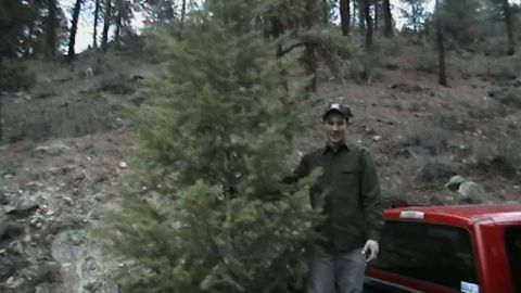 1999 Dodge 1500 - Getting our Christmas tree 2008