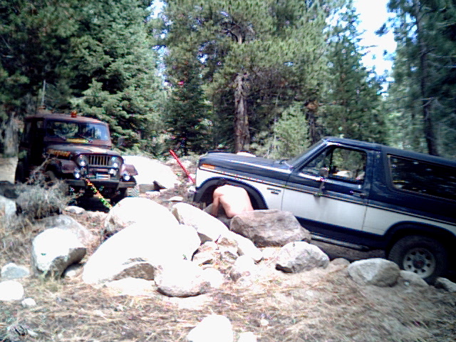 1985 Ford Bronco “Bucky”