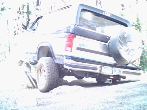 1985 Ford Bronco - This Ford Bronco is seen from the rear, with a spare tire on the tailgate and trees in the background.